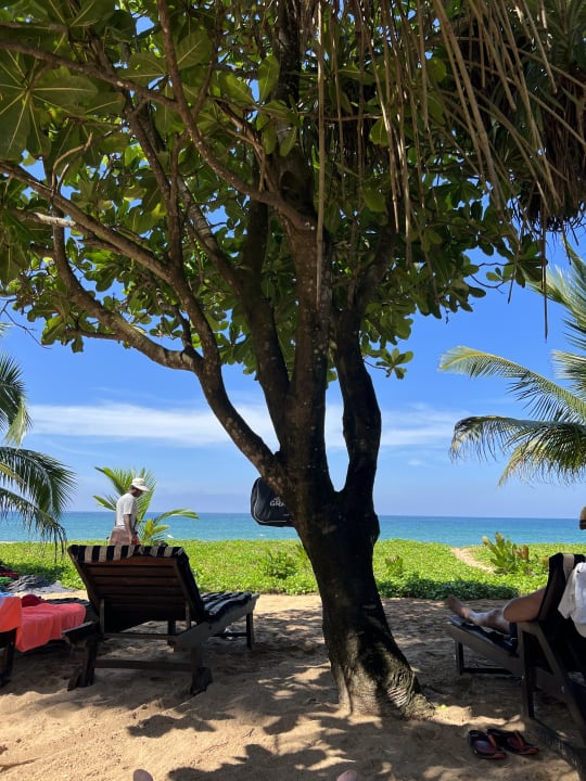 Strand Pandanus Beach Resort & Spa