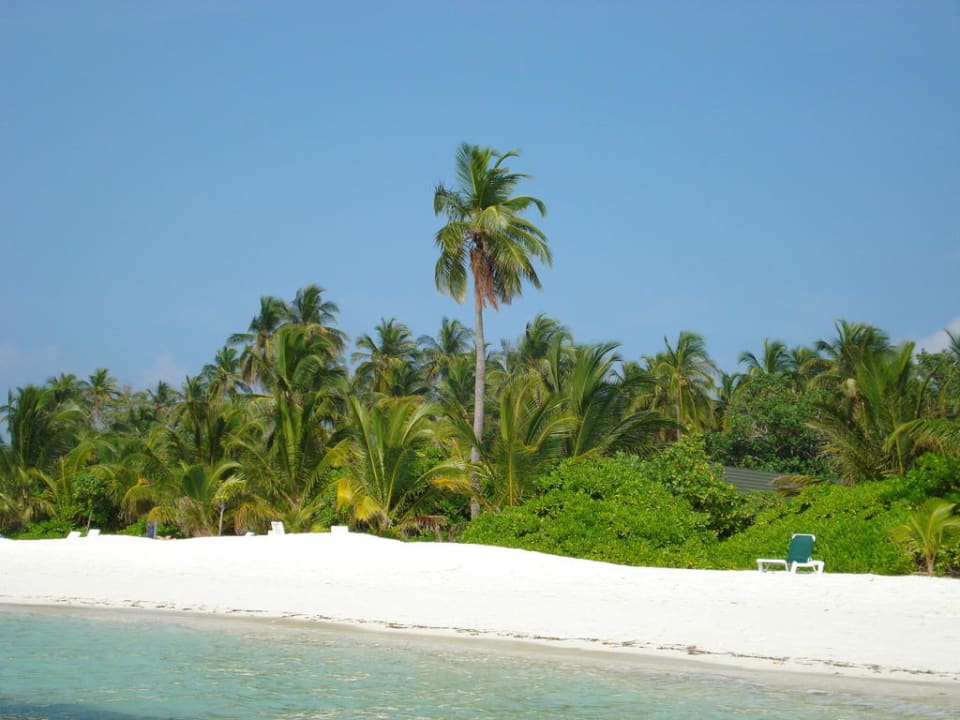Strand Atoll - Innenseite Meeru Maldives Resort Island