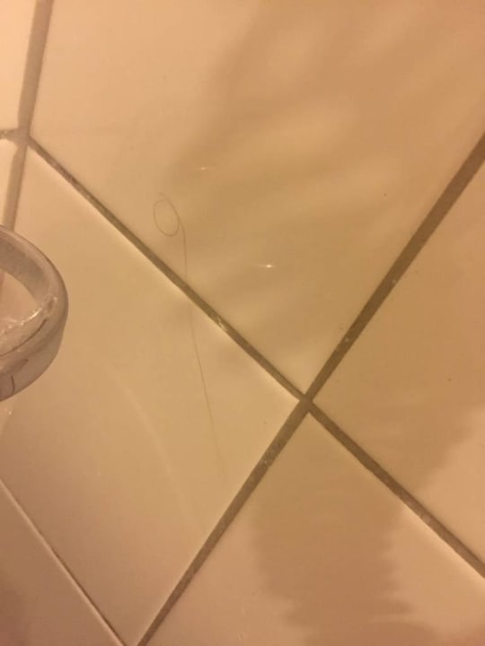 Haare im Bad Hotel Arcen