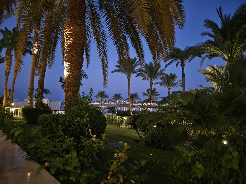 Ausblick Steigenberger Coraya Beach - Adults only