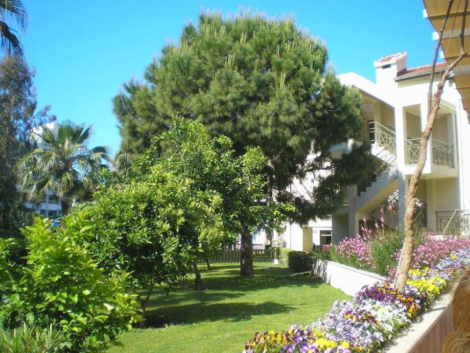 Сад Arum Barut Collection