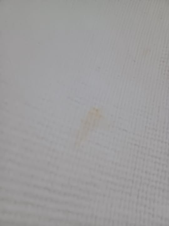 Zimmer Andros Family Club