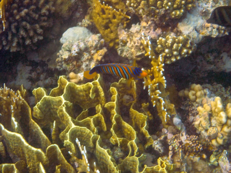 Sport & Freizeit Casa Mare Resort