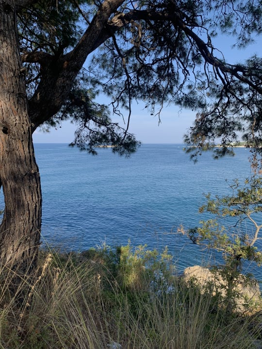 Ausblick Sealife Buket Resort & Beach