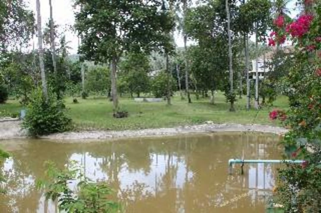 Golfanlage The Fair House Beach Resort