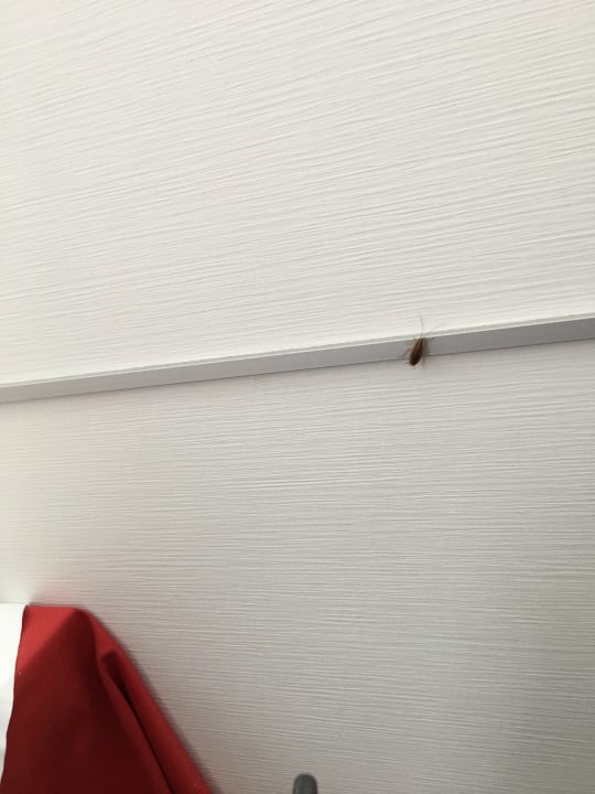 Gastro Sentido Aequora Lanzarote Suite