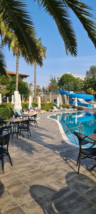 Sport & Freizeit Acanthus Cennet Barut Collection