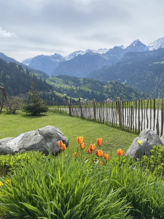 Ausblick Ferienhaus Schwendehof