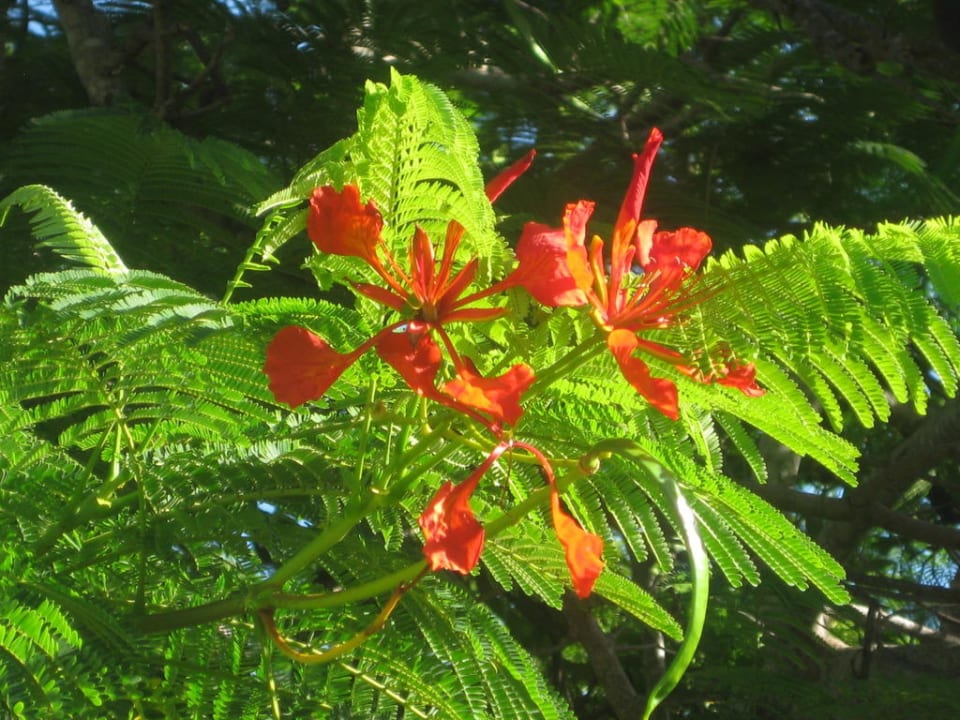 Für meine Frau Hotel Kondari Resort