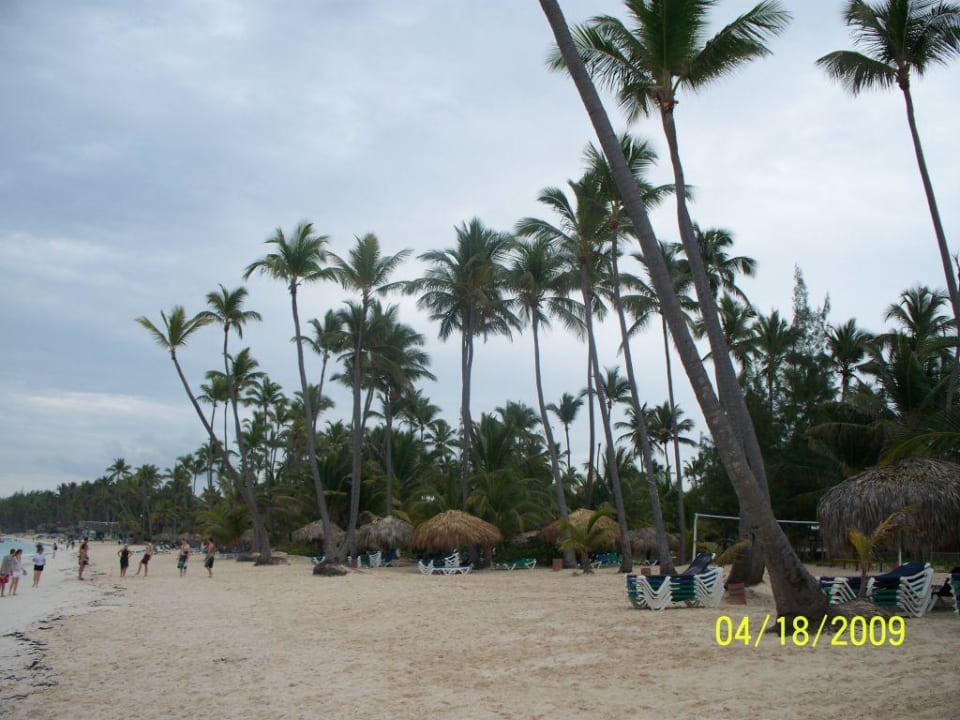 Der wunderschöne Strand der Playa Bavaro Hotel Grand Palladium Palace Resort, Spa & Casino