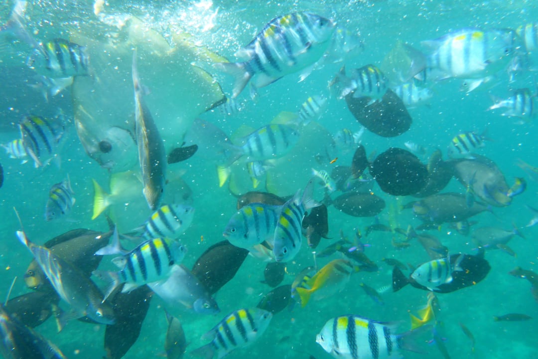 20m vom Strand Hotel Amanpulo Resort