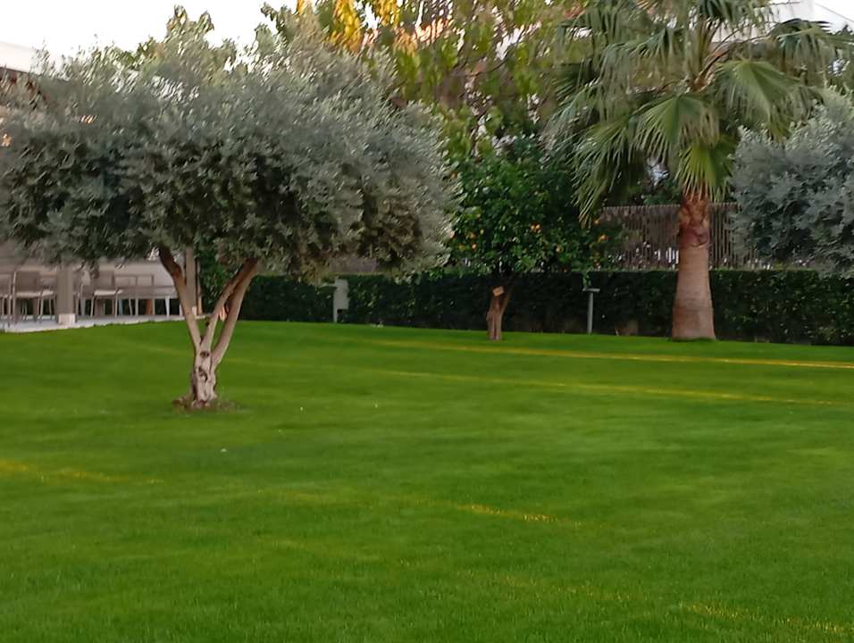 Außenansicht Acanthus Cennet Barut Collection