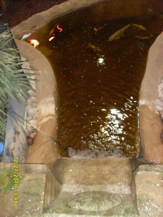 Dschungelland - Tropical Oase Ferienwohnungen Ferienpark Weissenhäuser Strand