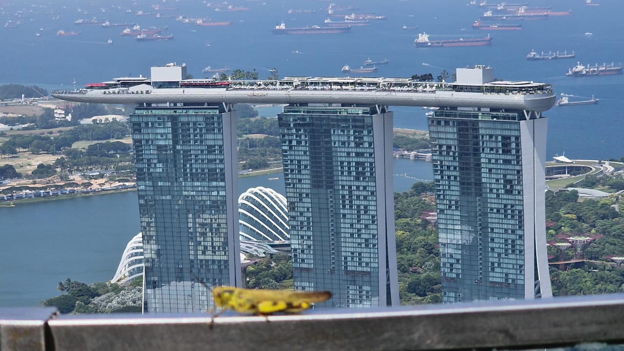 Ausblick Marina Bay Sands