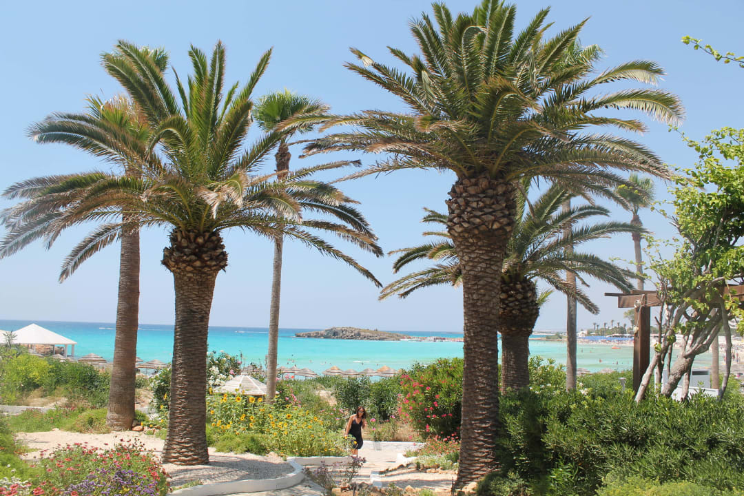 Traumhaft Hotel Nissi Beach Resort