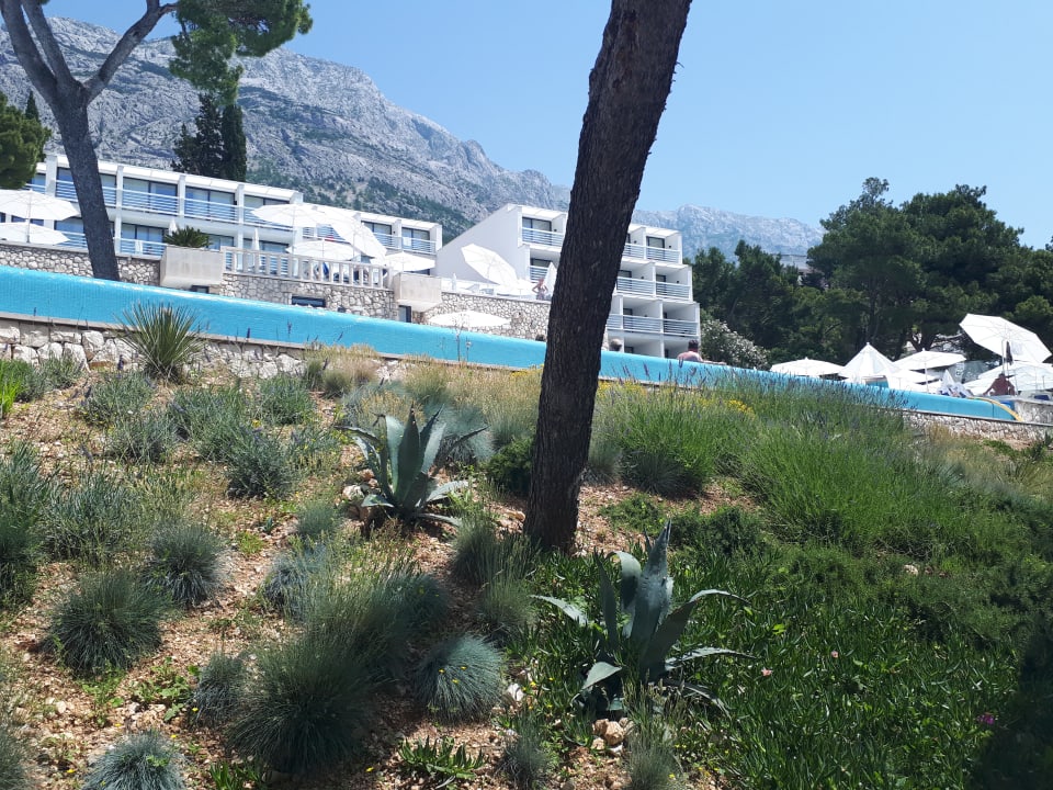 Außenansicht Bluesun Hotel Berulia