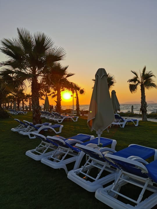 Gartenanlage Lyttos Beach Hotel
