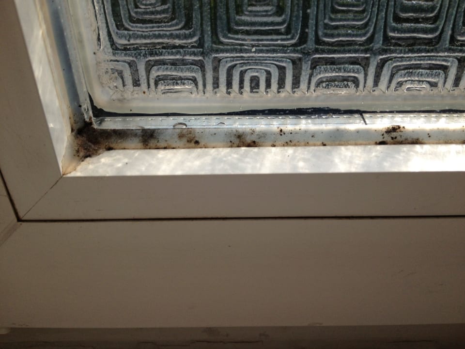 Verschimmelte Fensterrahmen Binders Budget City-Mountain Hotel