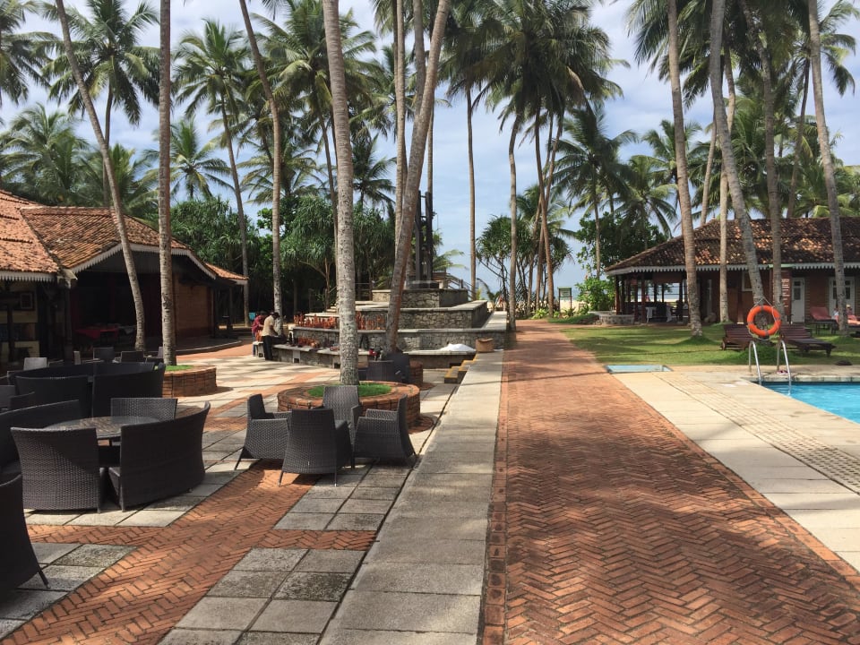 Gartenanlage Hotel Club Bentota