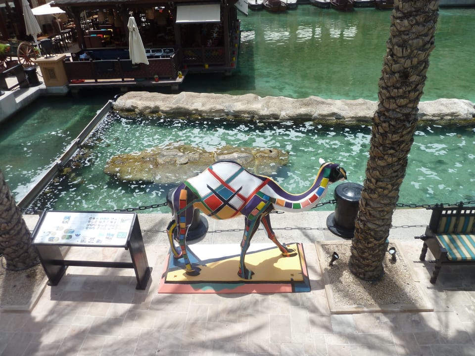 1.Becken Turtle Rehabilitation Jumeirah Mina Al Salam