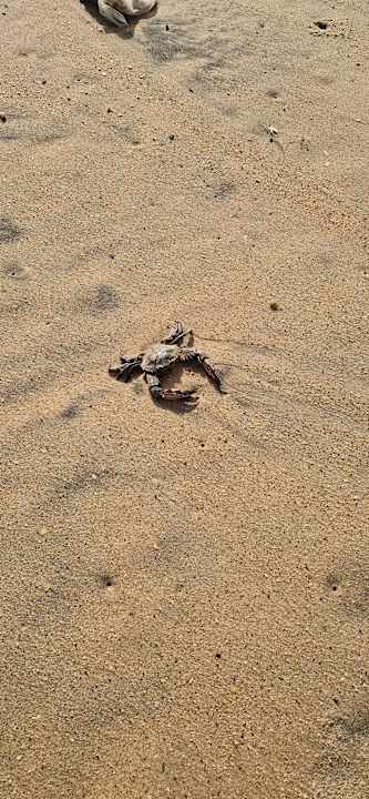 Strand Hotel Riu Baobab - All Inclusive