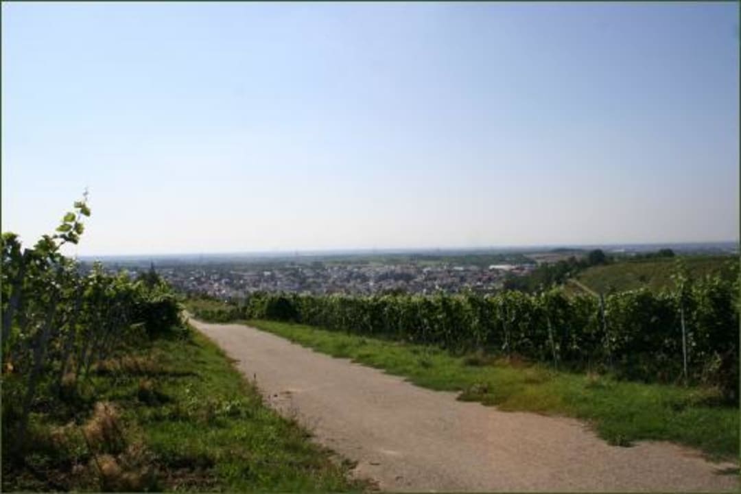 Weinberge Hotel Weinstube Gutshof