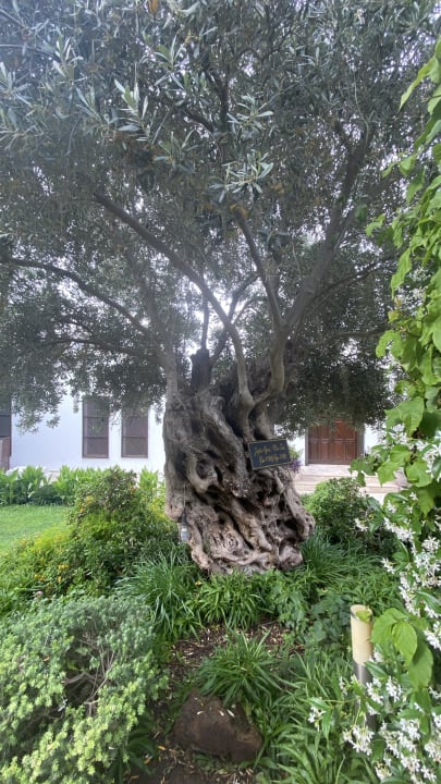 Gartenanlage Bodrum Holiday Resort & Spa