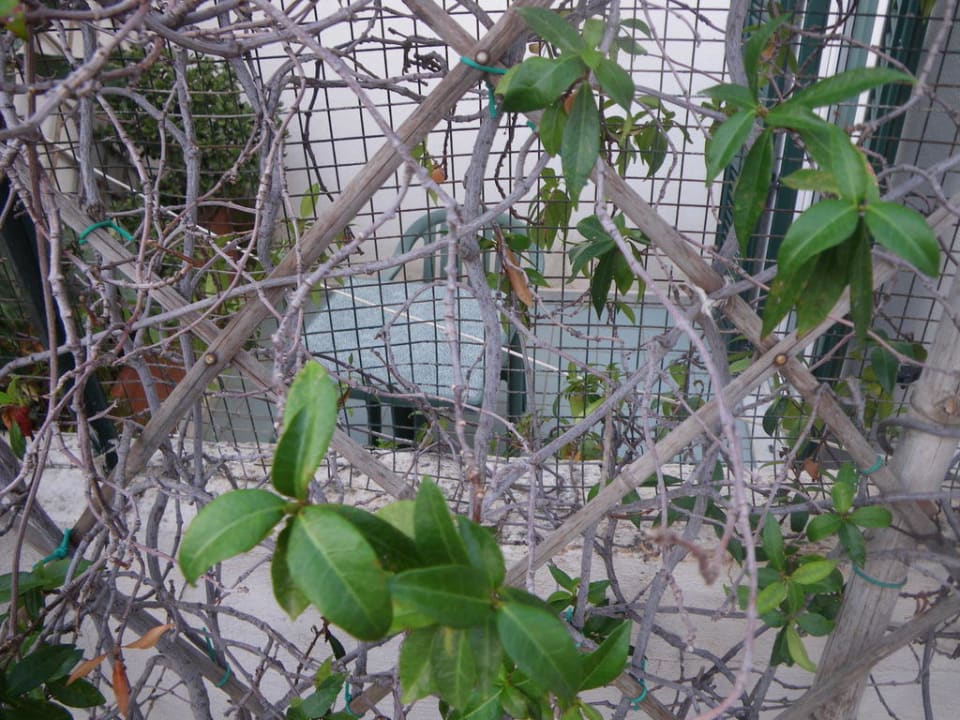 Terrassen-Ausblick Hotel Capizzo