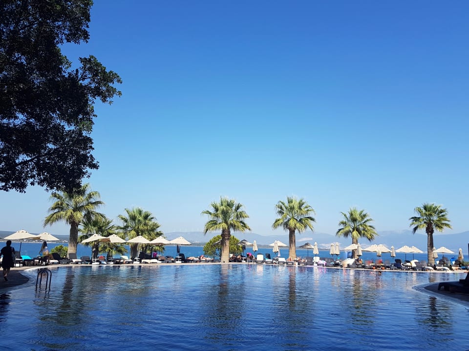 Pool Duja Didim Hotel