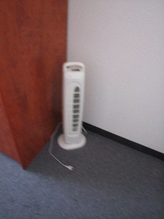 Zimmer. Hotel Rossija