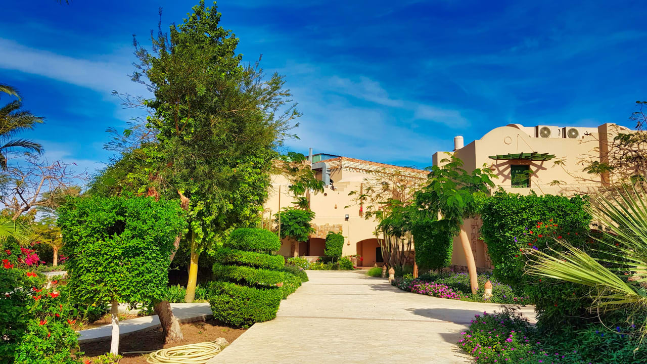 Gartenanlage Shams Alam Beach Resort
