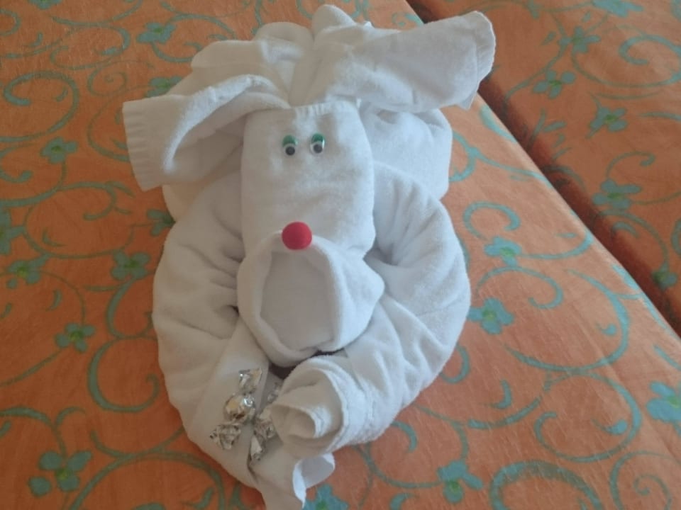 Hund von Putzfrau gemacht  Iberostar Selection Fuerteventura Palace