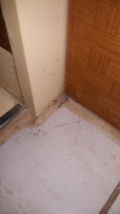 Dreck ecke ROBINSON ESQUINZO PLAYA