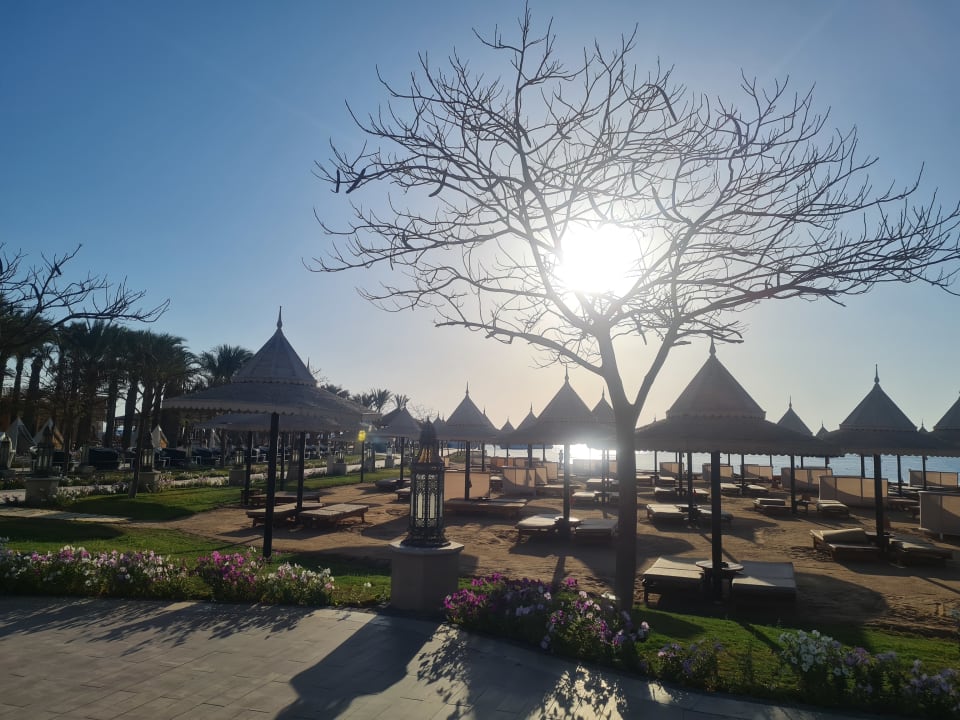 Strand The Grand Palace - Adults only