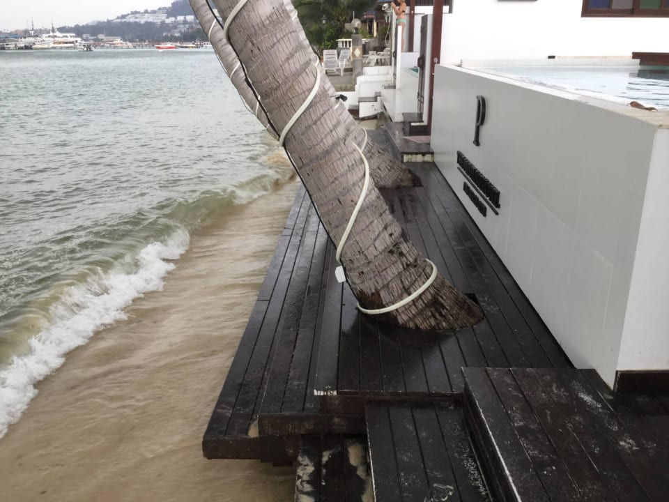 1m Strand der nach Fischabfall und Diesel stinkt The Privilege Hotel Ezra Beach Club