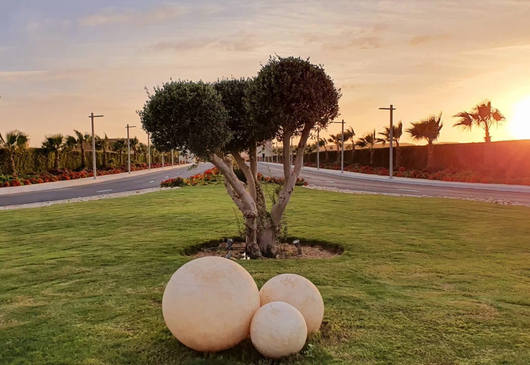 Gartenanlage Pickalbatros Sea World Resort - Marsa Alam