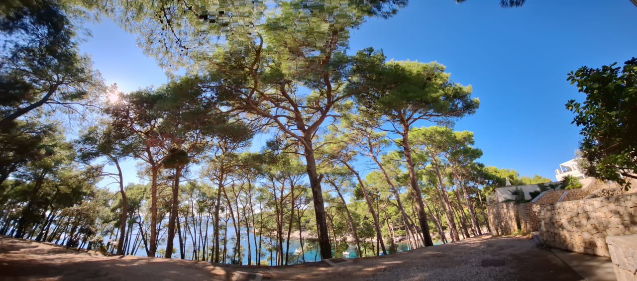 Gartenanlage Hotel Aurora