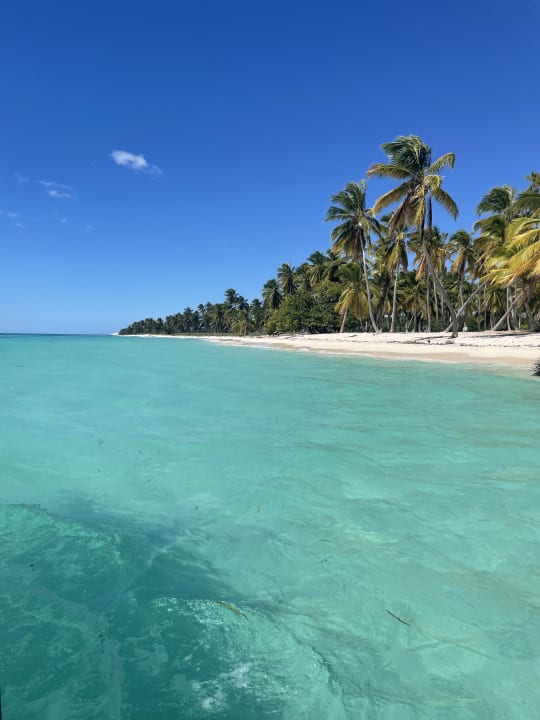 Strand Hotel Viva Dominicus Palace by Wyndham-All Inclusive Resort