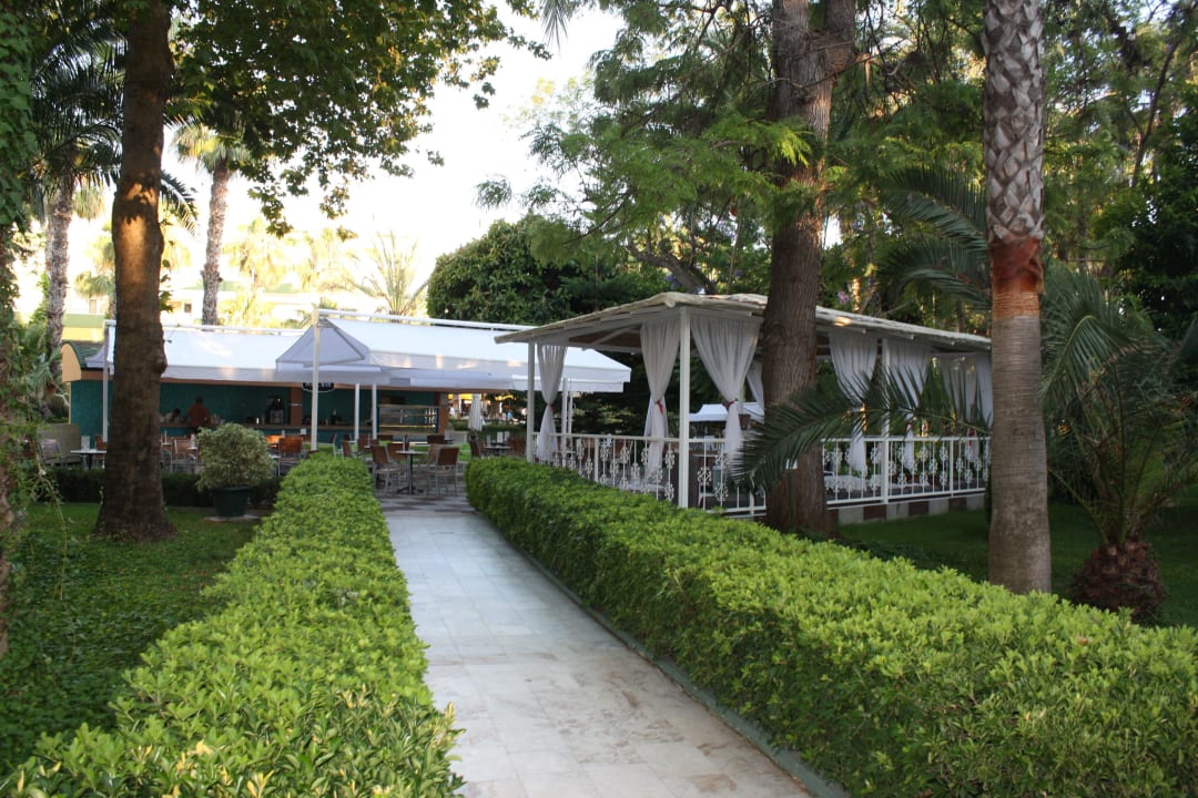 Бар Botanik Hotel & Resort