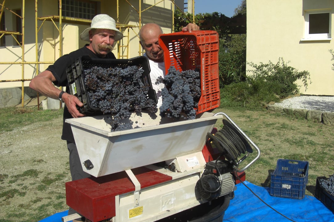 Beeren entrappen Hotel Maistrali