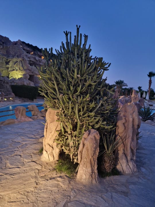 Gartenanlage Hotel Caves Beach Resort (Adults Only)