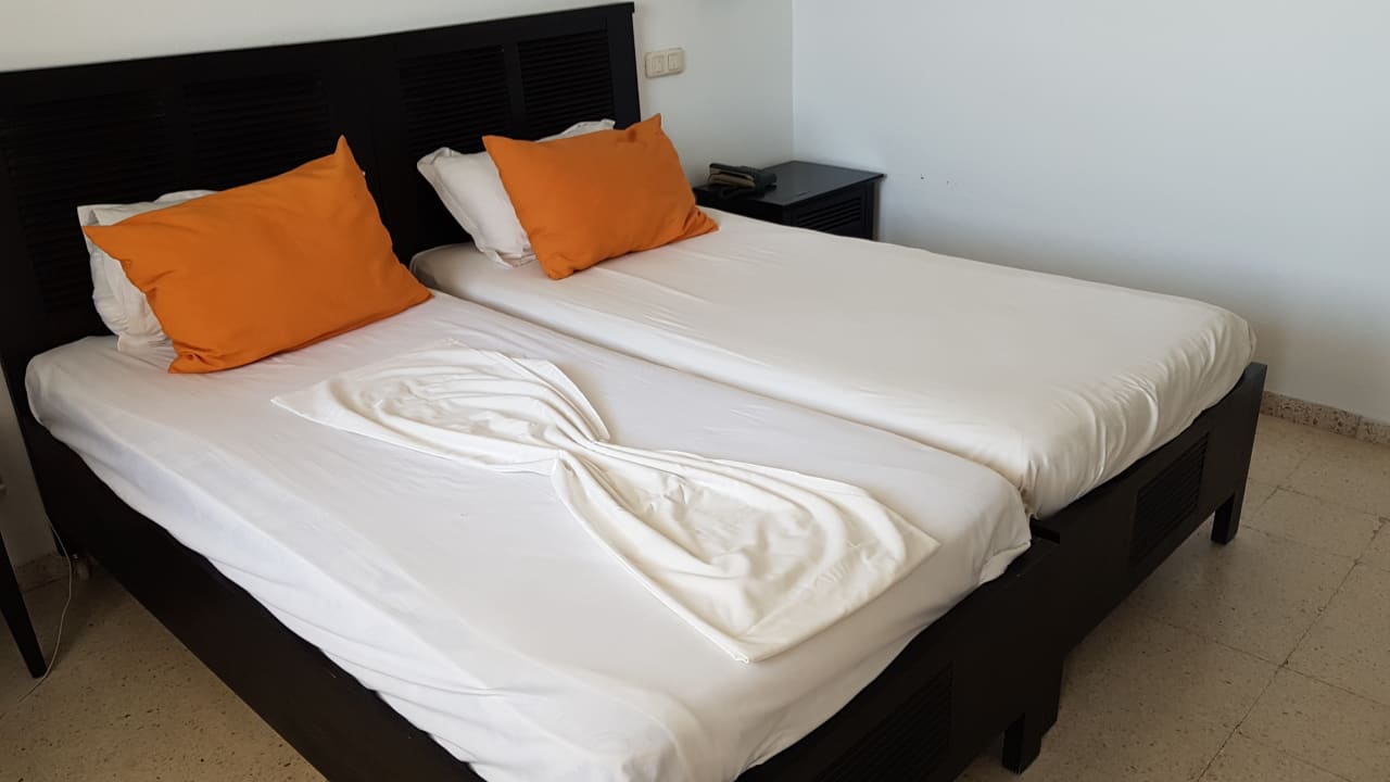 Zimmer Hotel Club Tropicana & Spa