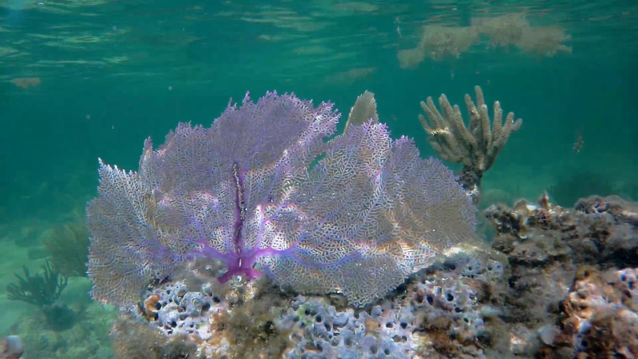 Sport & Freizeit Akumal Bay Beach & Wellness Resort