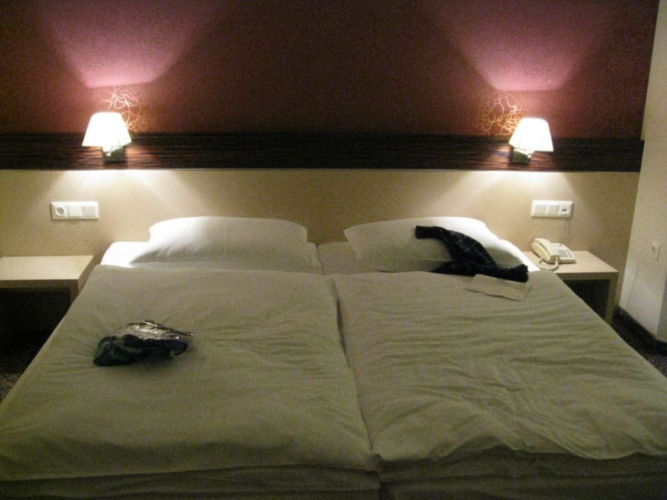 Zimmer Hotel Der Wilhelmshof