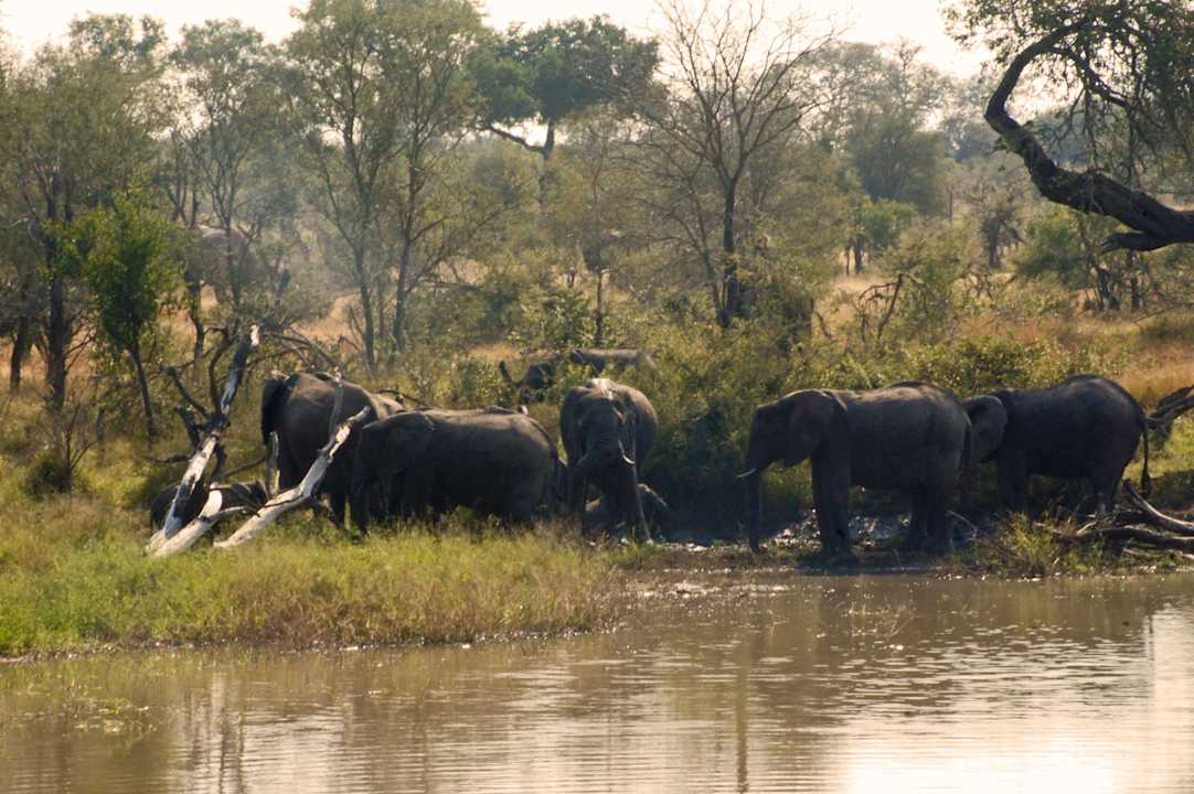 Blick von der Veranda (Teleobjektiv) Gomo Gomo Game Lodge