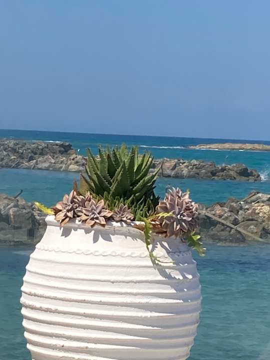 Außenansicht Knossos Beach Bungalows Suites Resort & Spa