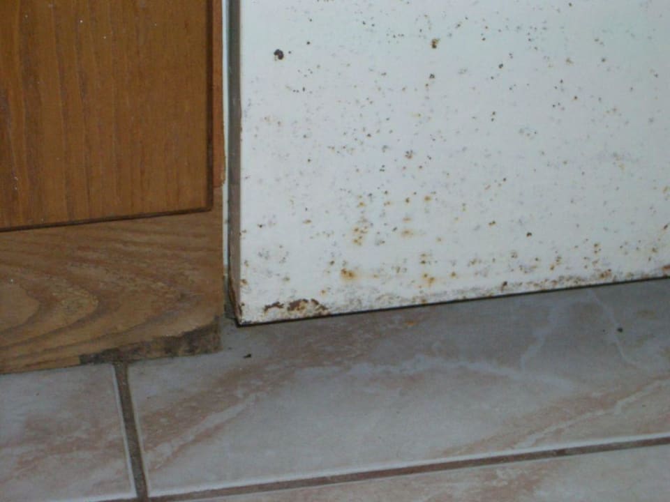 Kühlschrank Diogenis Blue Palace