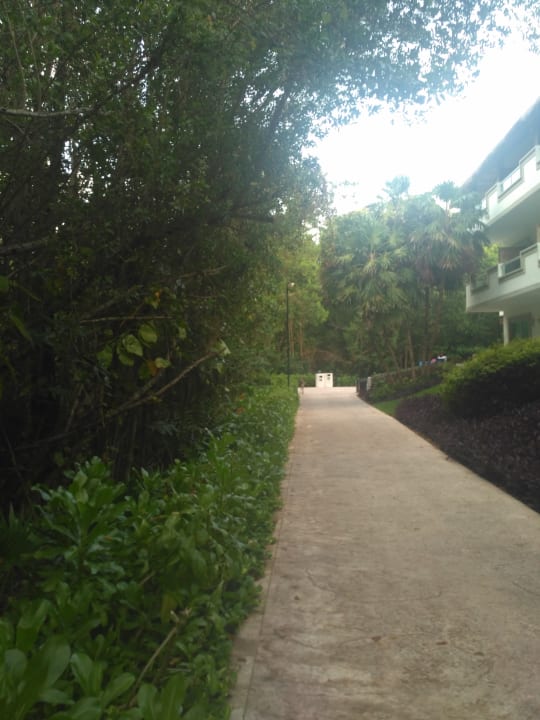 Außenansicht BlueBay Grand Esmeralda