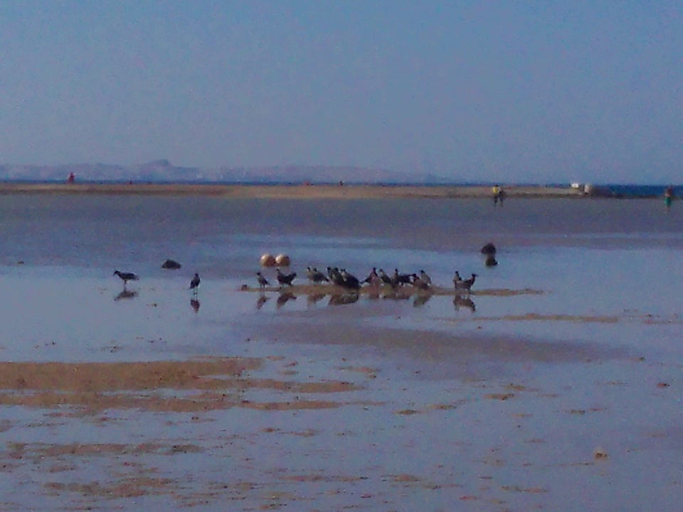 Strand Hotel Titanic Palace