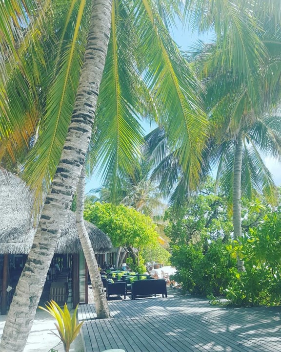 Gastro Summer Island Maldives